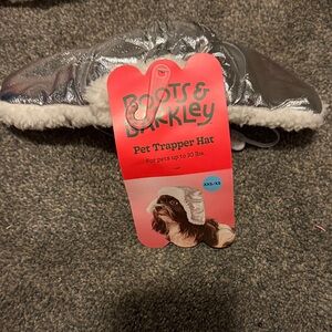 Boots & Barkley Metallic Silver Pet Hat